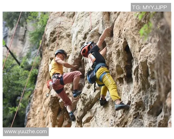 广州攀岩队在攀岩比赛中创下新高经验排名引发广泛关注与赞誉
