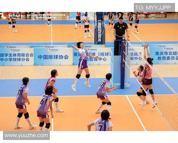 杭州排球队荣登全国排球技术排行榜第一名引发热议